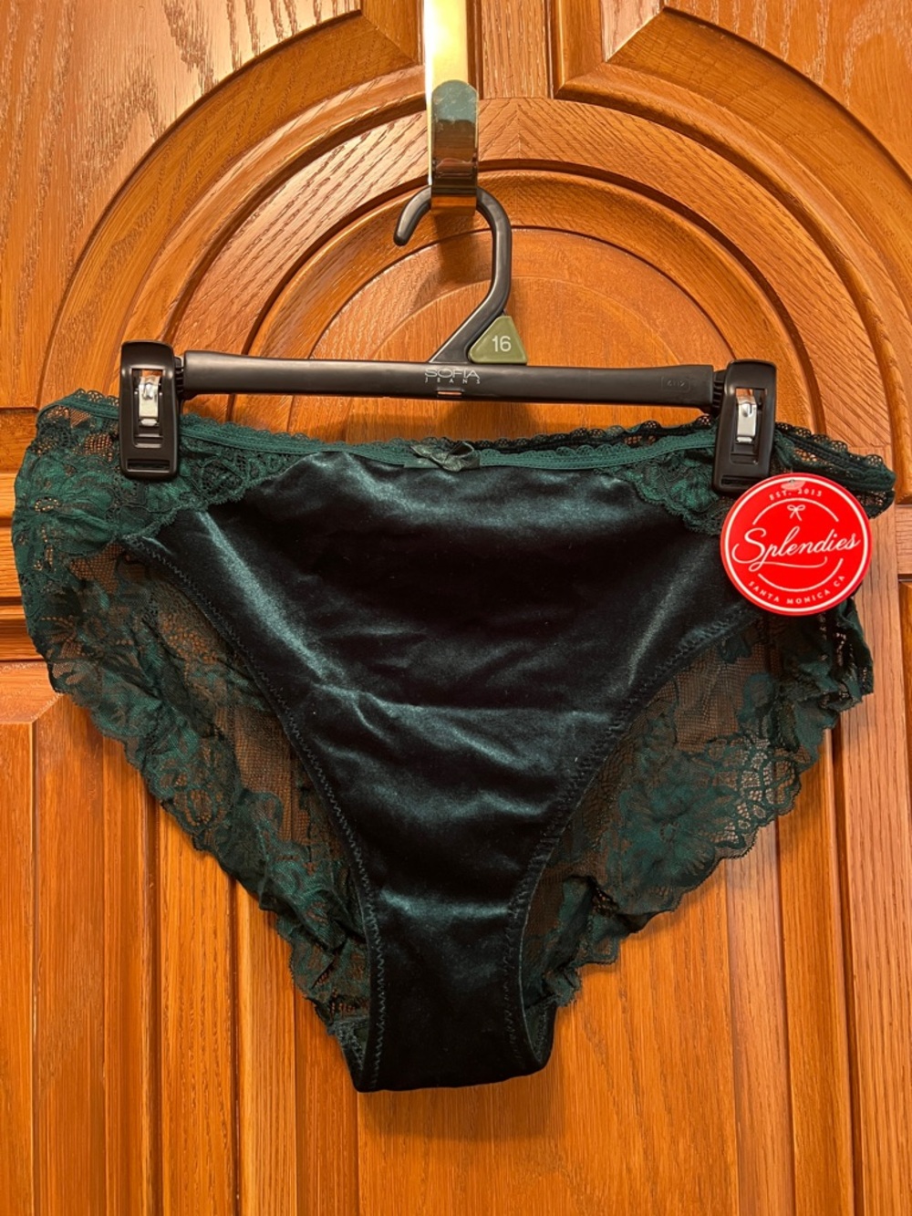 Velvet & Lace Bikini Panty in Deep Green